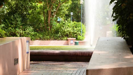 water fountain amidst lush greenery in park setting