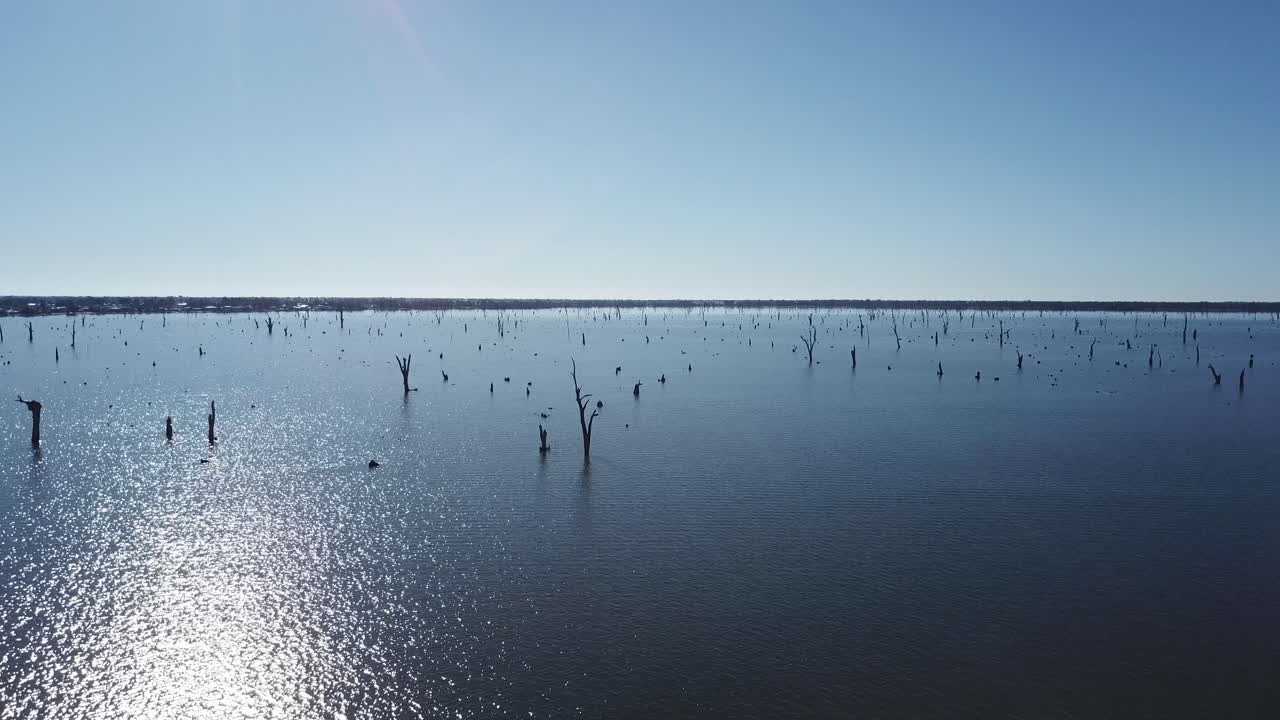 화창한 날 푸른 물에서 죽은 나무가 나오는 호수 위의 드론 공중