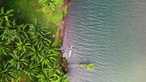 outrigger boat on rivershore with dense palm trees in tropical forest near saint bernard, southern leyte in the philippines