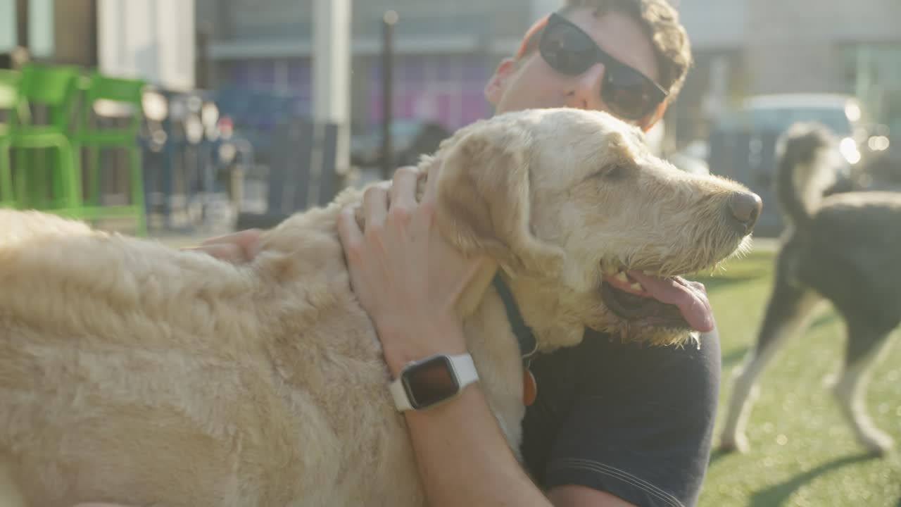한 남자가 야외 도시 개 공원에서 개와 함께 놀고 있다