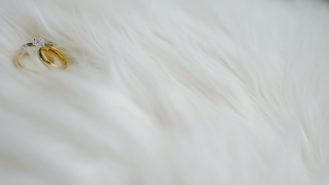 결혼 반지 사랑 로맨스 공생