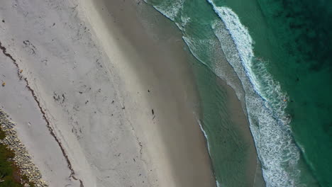 aerial view rotating above beach and waves, in carmel by the sea, monterey, usa