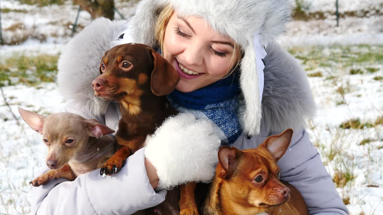 여자 는 겨울 밖 에서 작은 개 들 과 함께 놀고 있다
