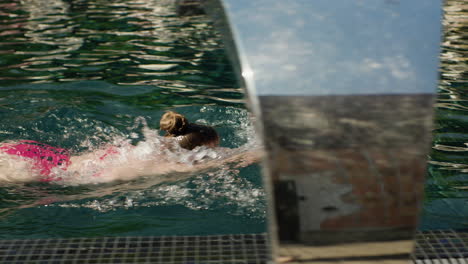 woman swimming front crawl