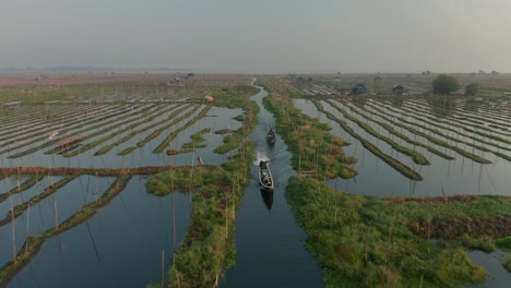 Longtail-Boote,-Die-Durch-Einzigartige-Schwimmende-Gärten-Am-Inle-See-Fahren