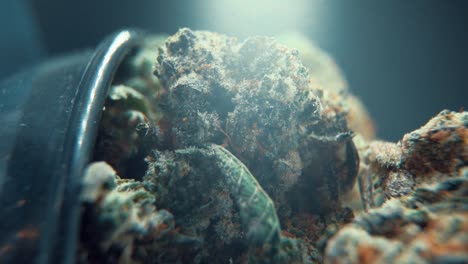 una toma cinematográfica macro vertical de una planta de cannabis, variedades híbridas de naranja, sativa, flor de marihuana, en un soporte giratorio, grito brillante, full hd, super cámara lenta, 120 fps, iluminación de estudio