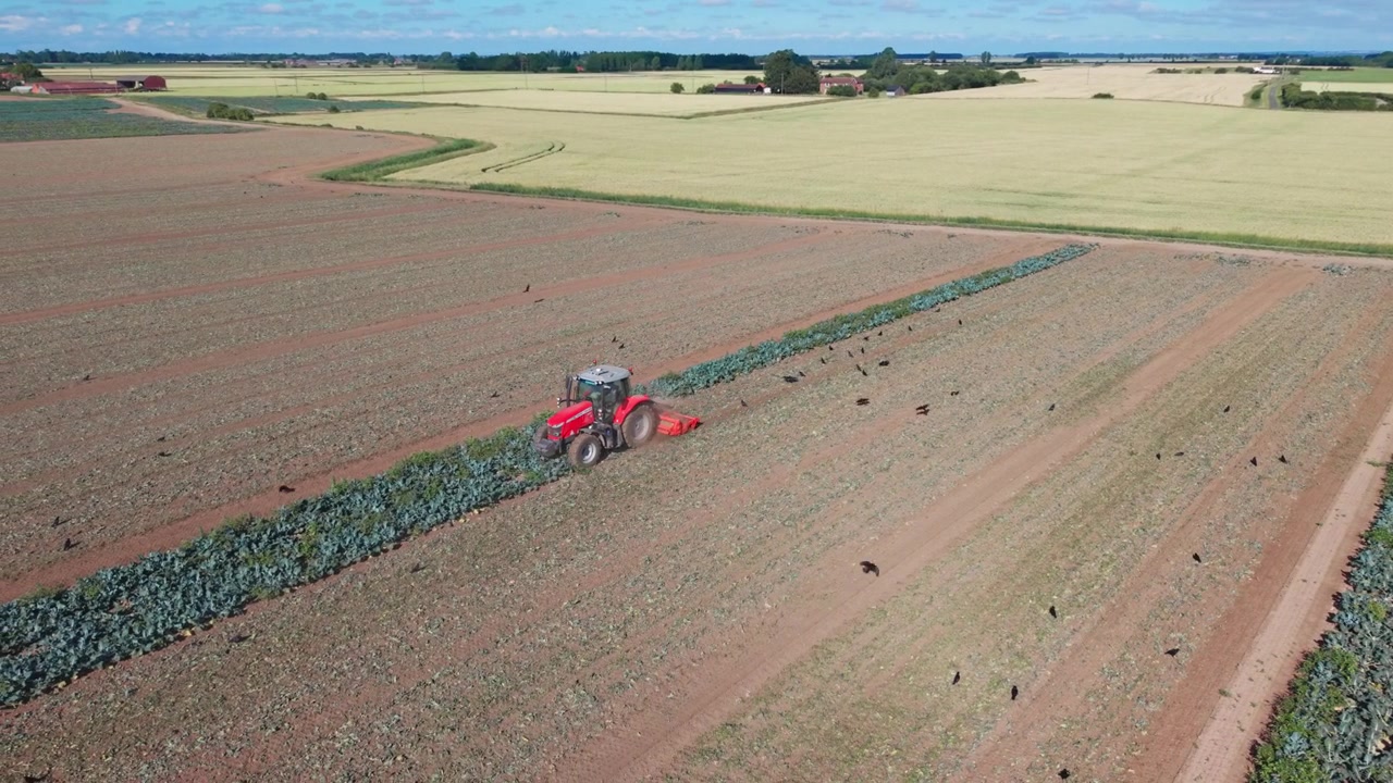 Aerial view of a tractor plowing a field at sunset. Working on Agricultural Field with Dust Trails and Plowed Soil Patterns farming soil preparation and crop cultivation, plowing farmland UK