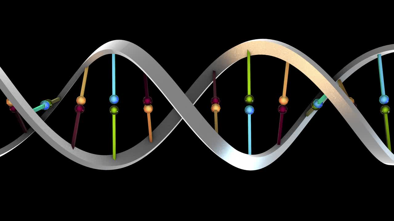 dna 수평 금속 색상