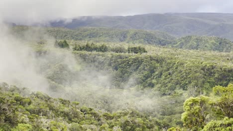 Cinematic-long-lens-panning-shot-of-fog-creeping-out-over-the-lush-rainforest-in-the-Na-Pali-mountains-at-the-top-of-Waimea-Canyon-on-the-Hawaiian-island-of-Kaua'i
