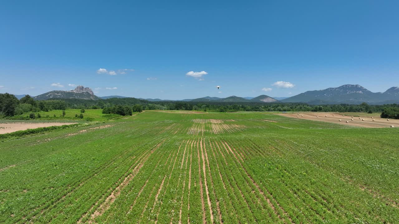 Agricultural Mapping Drone In Flight Over Crops At Farm On Sunny Day. wide aerial shot
