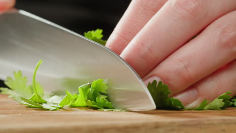 chopping cilantro
