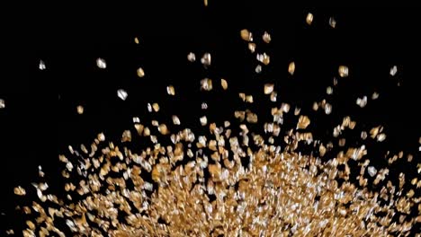 gold and silver glitter explosion