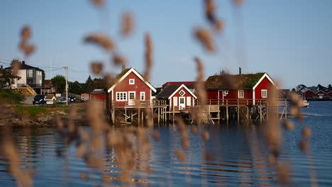 Traditionelle-Rote-Norwegische-Anlässe-In-Reine,-Lofoten-Norwegen