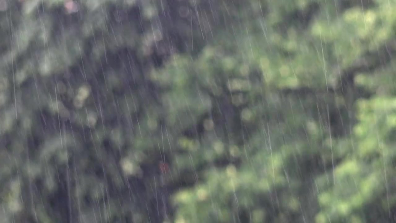 Silný déšť padající na pozadí bujných zelených stromů