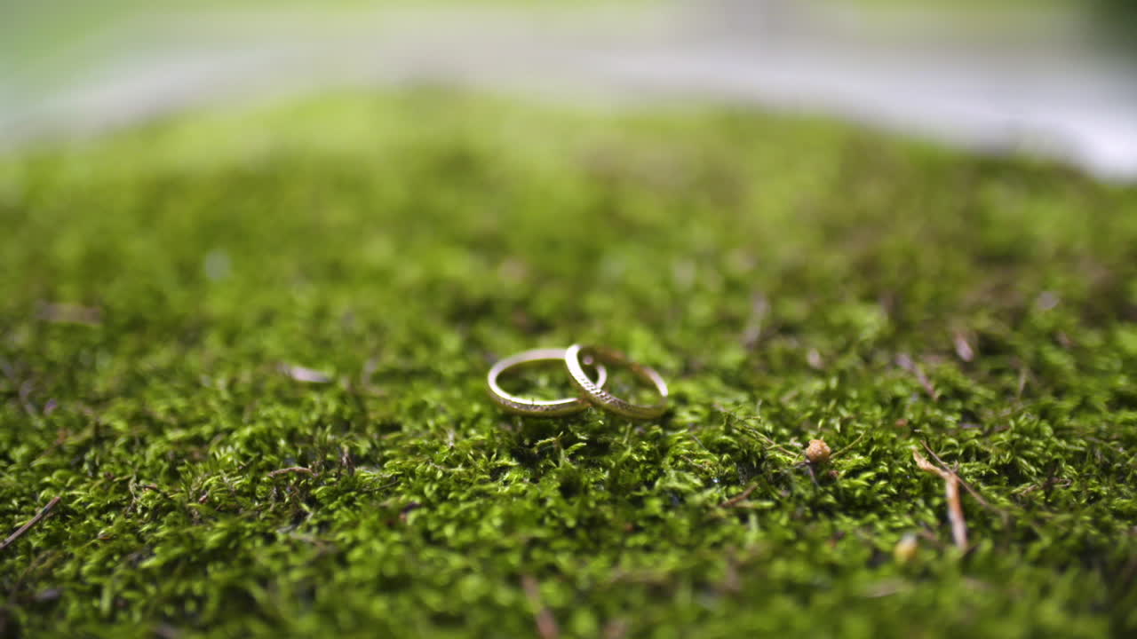 Two Wedding Rings on Forest Moss