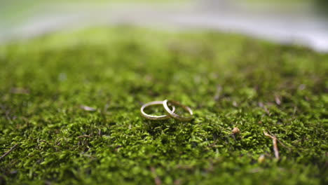 two wedding rings on forest moss