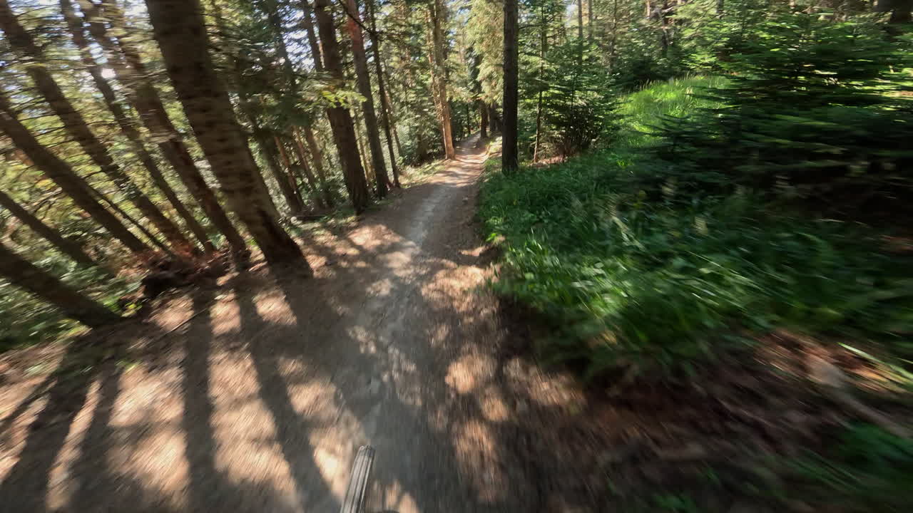 POV Mountain Biking Downhill Through a Sunny Forest Trail