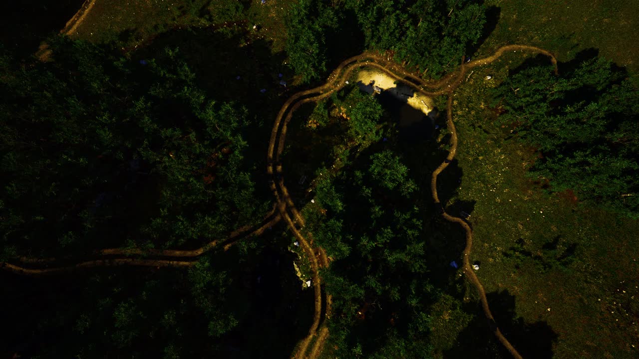 vista aérea de la carretera a través del bosque