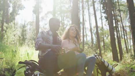 smiling diverse couple sitting and embracing in countryside