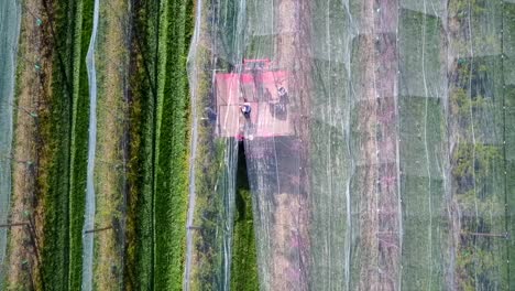 farmer laying a net for their orchard filmed with a drone