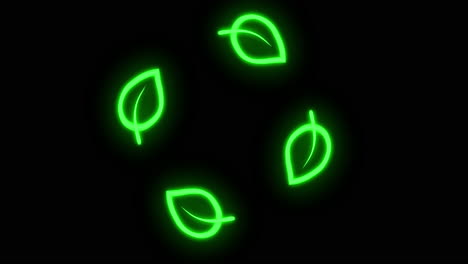 neon green leaves on black background