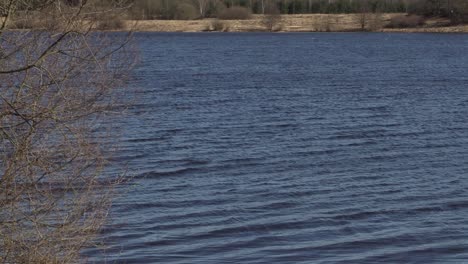 daugava river dark water flow in late autumn