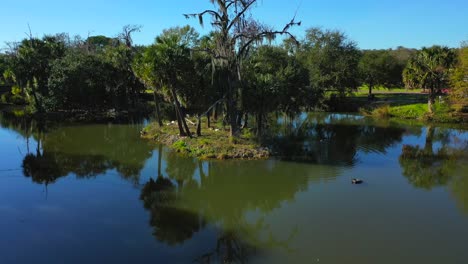 árbol-Aéreo-Revelado-En-El-Parque-De-La-Ciudad-En-Nueva-Orleans