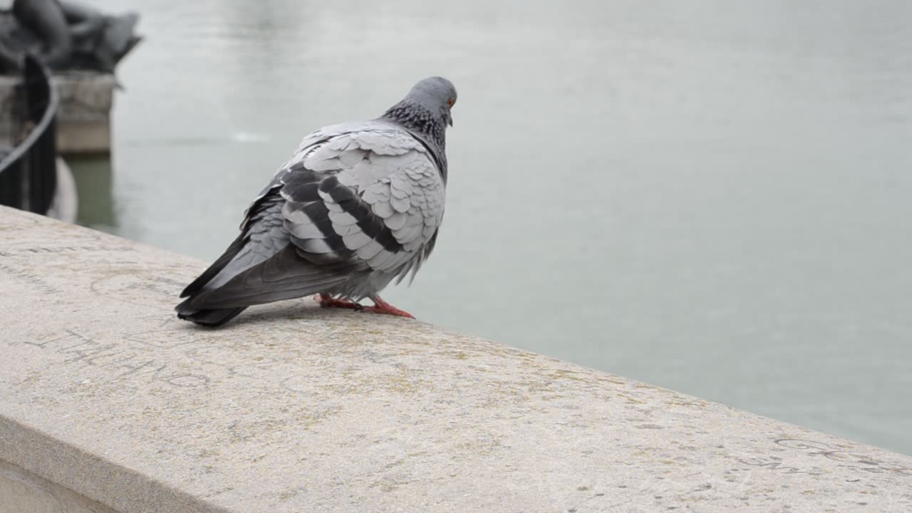 Parque do Retiro. Madrid