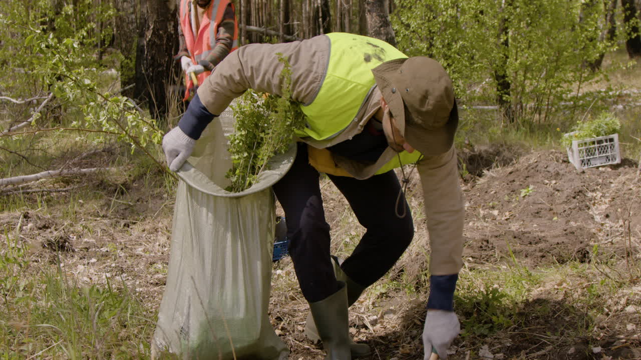 Caucasian man activist carrying small trees in a sack and using a shovel to prepare the land and plant them in the forest