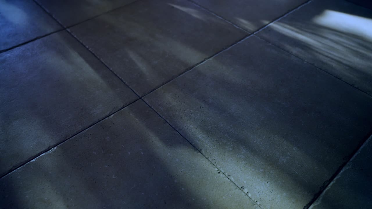 Close up on house floor with shadows of tree or branches moving in wind at night. Moonlight shining in spooky mysterious scene indoors. Dappled light reflecting on floor tiles on cold windy blue day