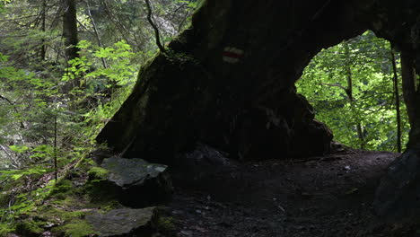 Blick-Auf-Eine-Höhle-Im-Schatten-Inmitten-Eines-Grünen-Waldes-In-Den-Schweizer-Alpen,-Obwalden