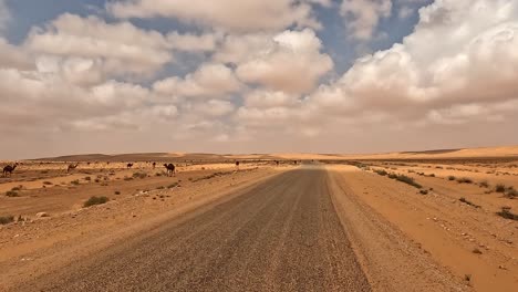 Personal-perspective-driving-along-remote-and-solitary-Tunisia-desert-road,-car-driver-point-of-view