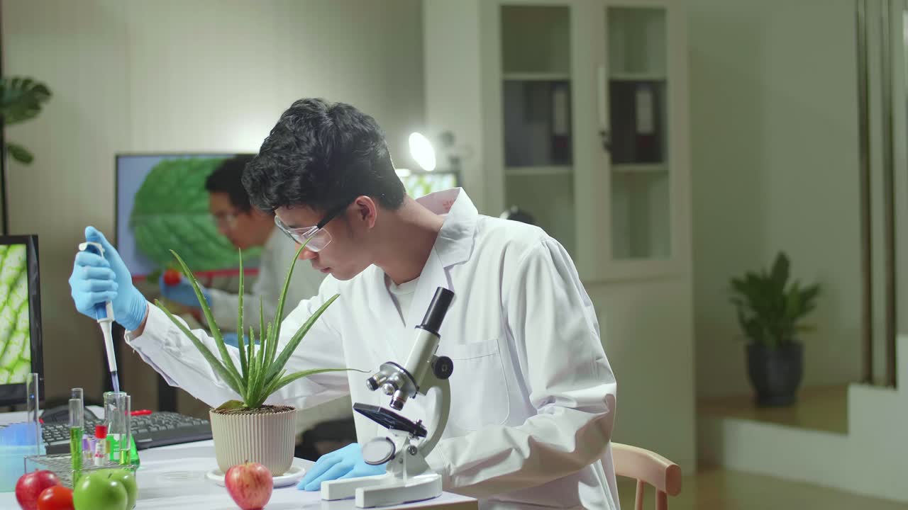 Biochemist Scientific Taking Green Liquid With Micropipette Putting On Sapling Observing Genetic Mutation. Biologist Man Working In Biochemistry Laboratory