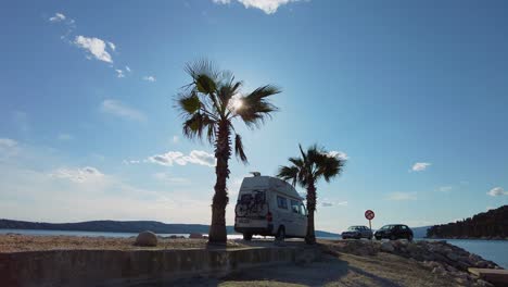 imagina ver esos hermosos rayos de sol brillando a través de las hojas de un árbol de dátiles en la playa