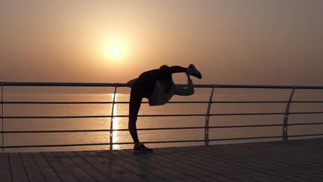 girl standing in a vertical twine. arching. stretches out near the sea ocean with a beautiful sun panorama