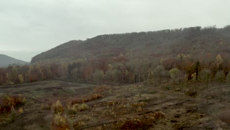 Beautiful-Drone-Aerial-Shot-of-the-Harz-national-park-forest-in-north-Germany-at-a-cloudy-moody-day-in-late-autumn