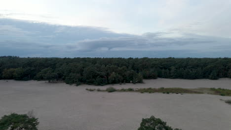 Fast-aerial-over-two-trees-in-sand-dunes