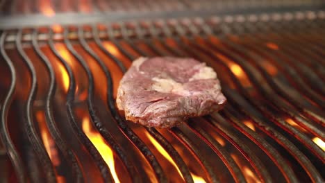 bistec a la parrilla en una barbacoa