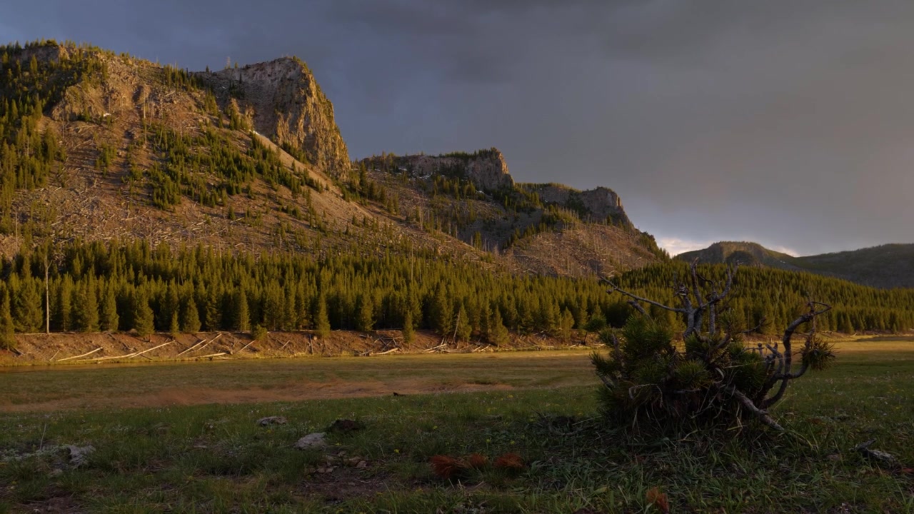 Luce dorata sulla Valle del fiume Madison nel Parco Nazionale di Yellowstone, Wyoming