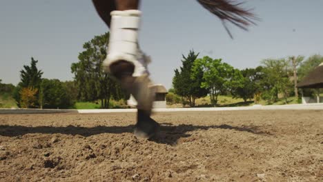 Caucasian-woman-riding-her-horse