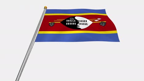 loop video of eswatini flag  fluttering in the wind, slow motion video of 4k , with alpha channel