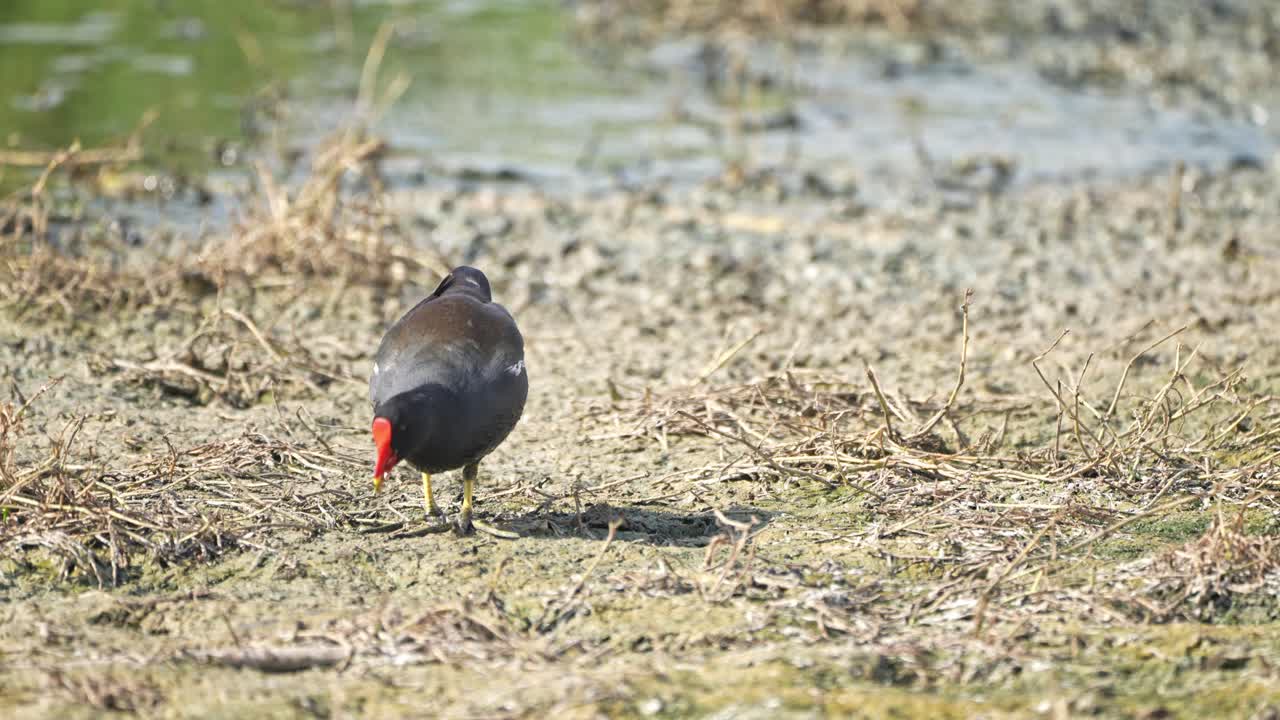 Eating on the banks of the water