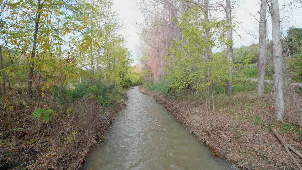 bosque de otoño, paseo cardán