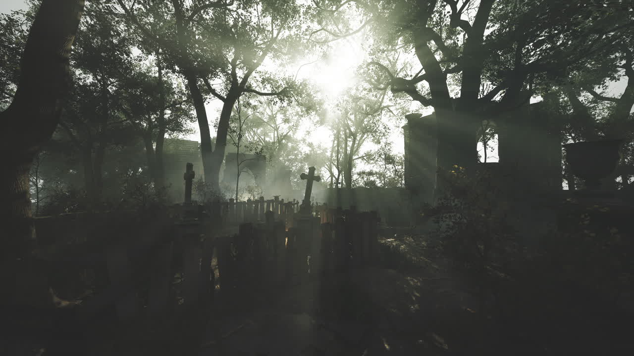 빛으로 가득 찬 무서운 묘지