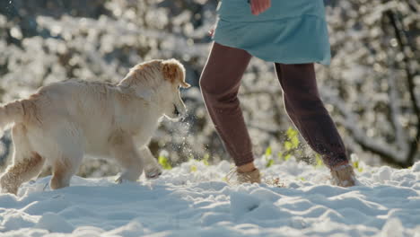 pet owner running in the snow with her dog, having a good time on a walk in the winter forest. slow motion video