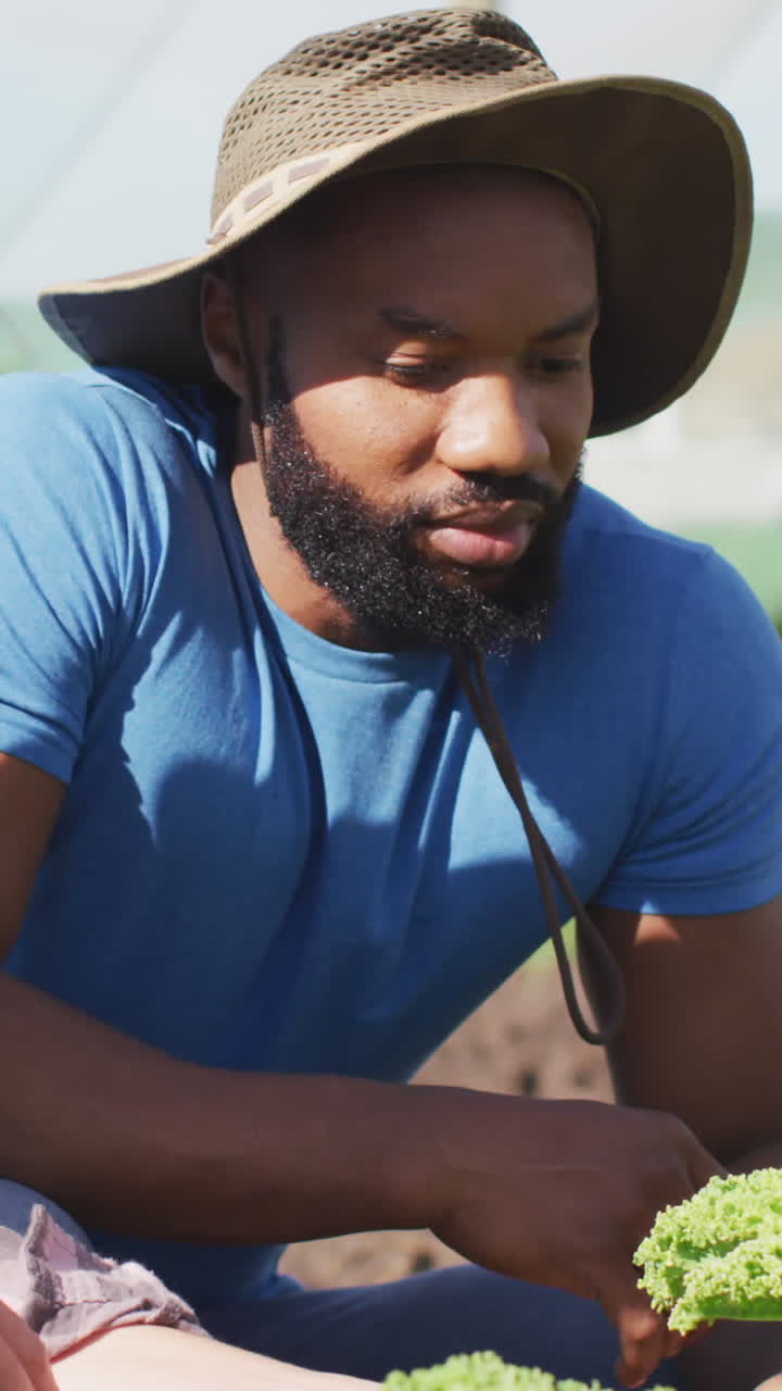 행복 한 다양 한 여자 와 남자 가 식물 을 확인 하고 온실 에서 대화 하는 영상