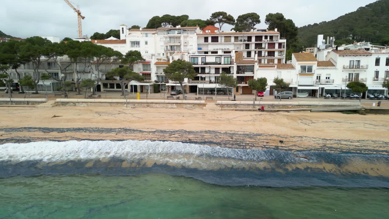 Purple blue velella velella, also known as by the wind sailors, are washing ashore on a beach near a town, raising concerns about climate change and its impact on marine life