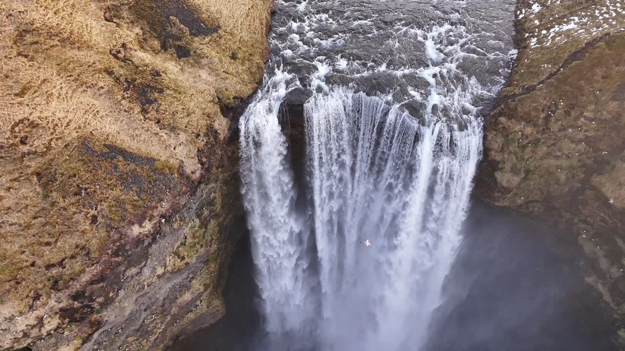 Top-down aerial view of Skógafoss waterfall, Iceland. Powerful white water plunges over a cliff edge. Stark Icelandic beauty.