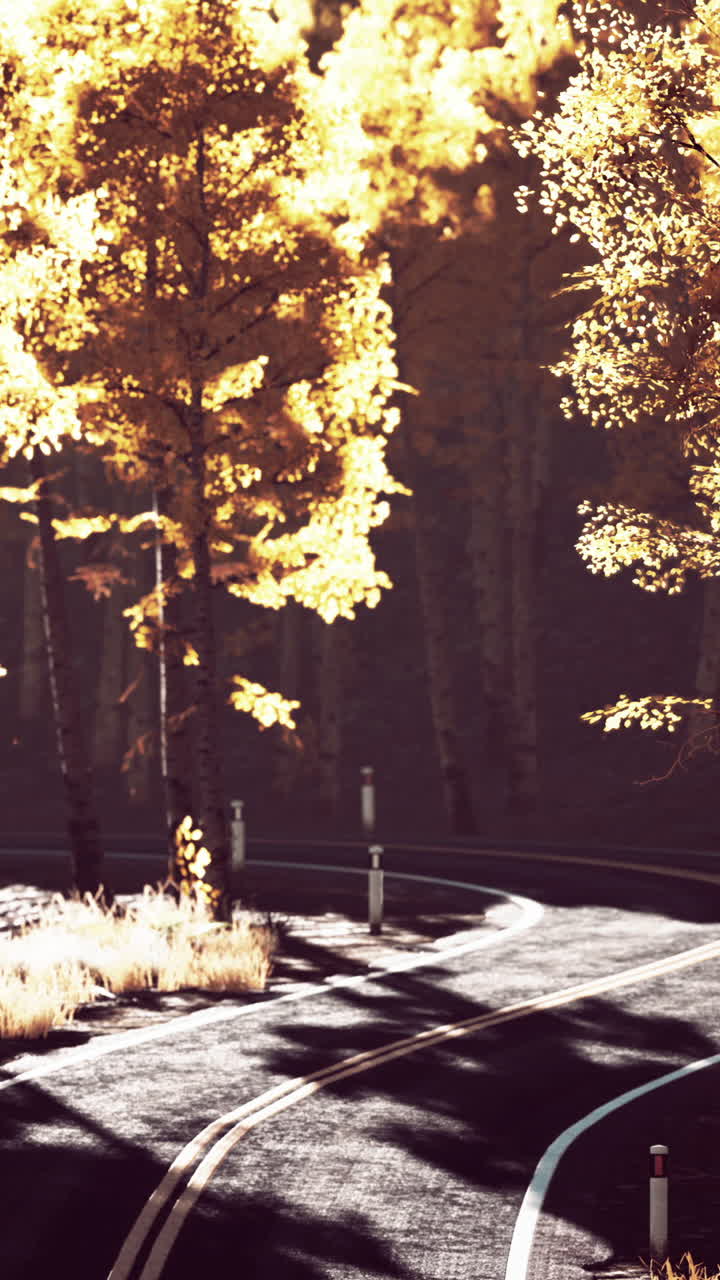 가을의 숲을 가로지르는 휘어지는 길