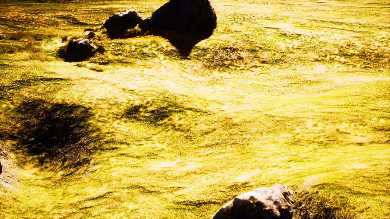 산 의 배경 에 있는 초록색 초원